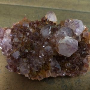 Meet your Posher, Robin